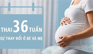 36 Tuần Là Được Mấy Tháng