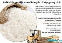 Thuế Xuất Khẩu Gạo Sang Trung Quốc